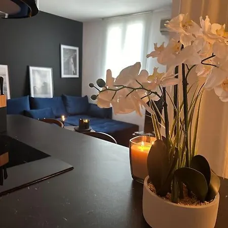 Neuf Et Rénové Promenade Des