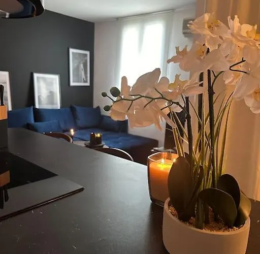 Neuf Et Rénové Promenade Des